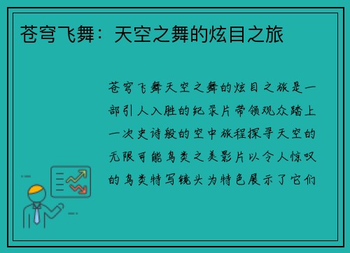 苍穹飞舞：天空之舞的炫目之旅